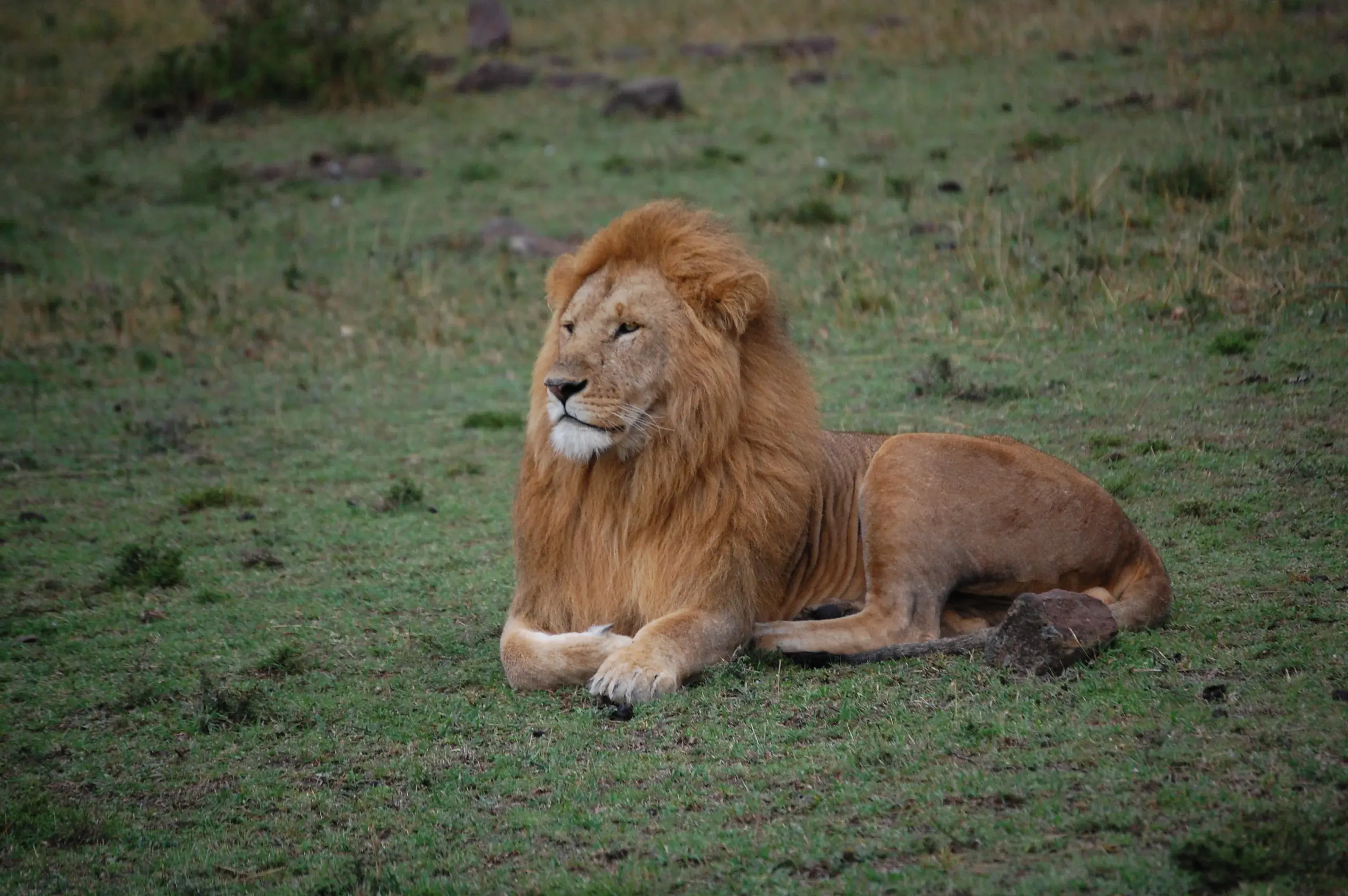 Travel photography from Kenya