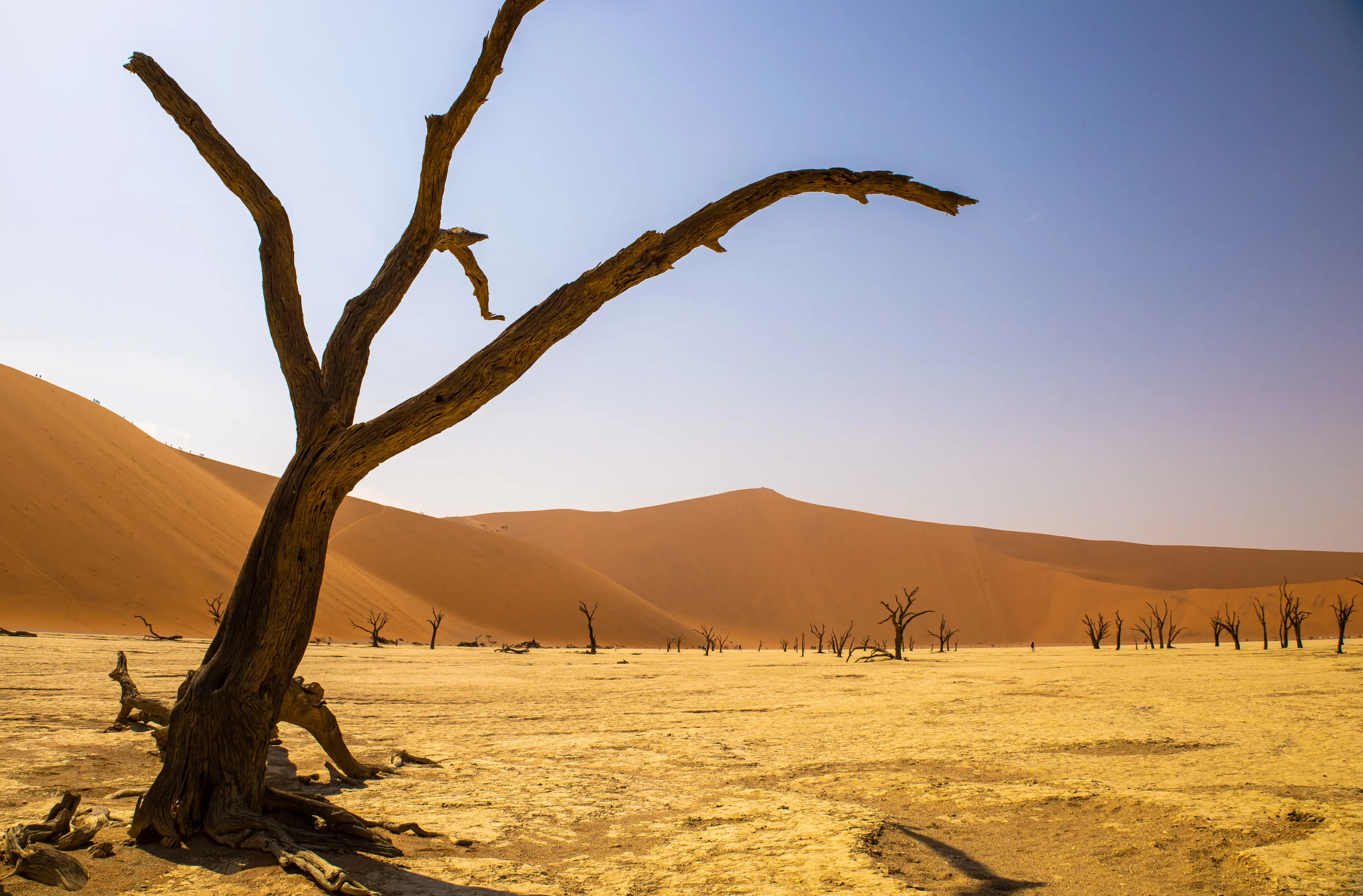 Travel photography from Namibia
