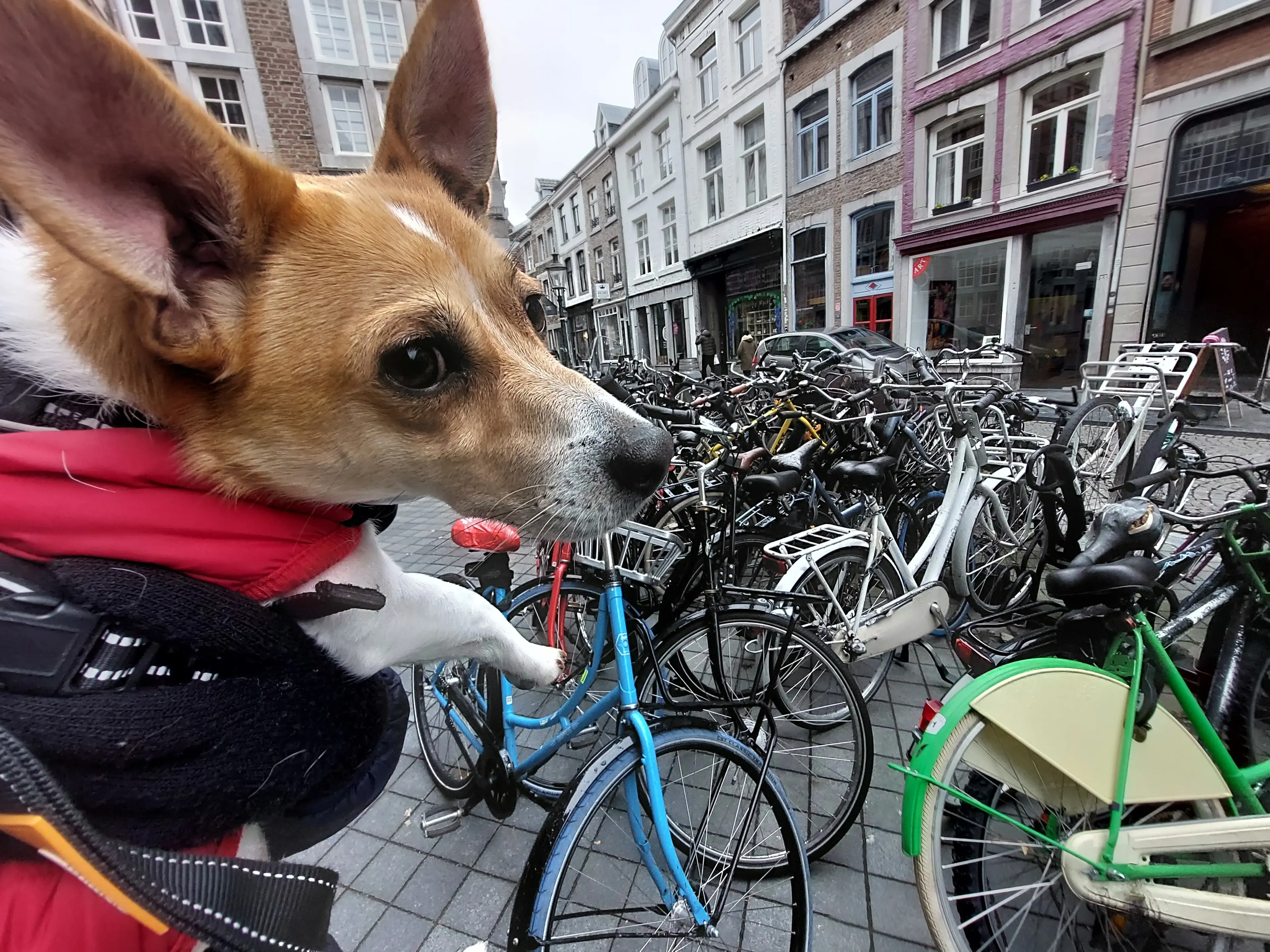 Travel photography from Netherlands